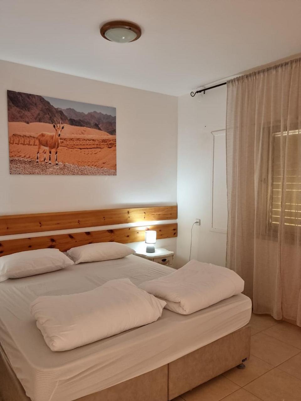 Elifaz Desert Experience Holiday Kültér fotó