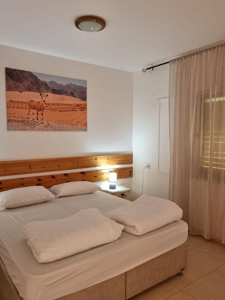 Elifaz Desert Experience Holiday Kültér fotó